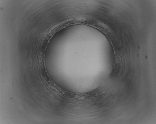 X0000073480773200608211624