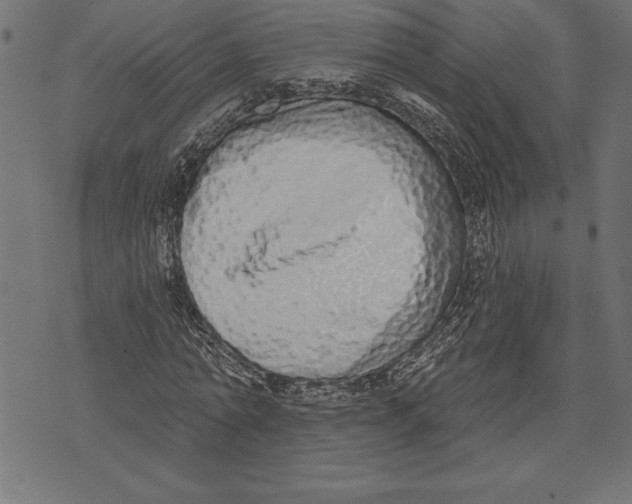 X0000073480774200608211624