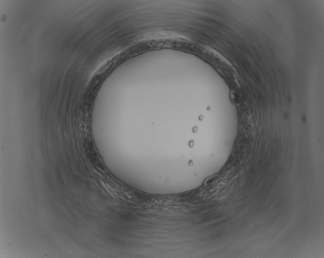 X0000073480775200608211624