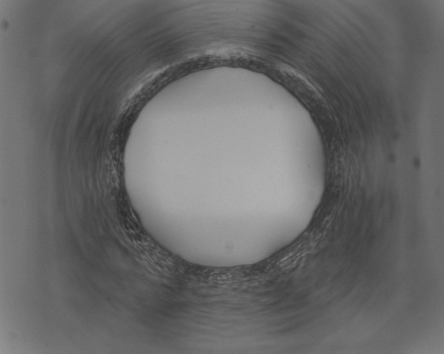 X0000073480776200608211624