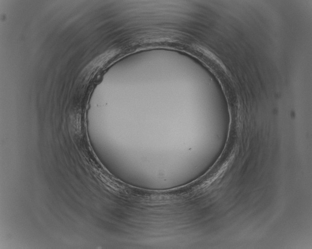 X0000073480777200608211624