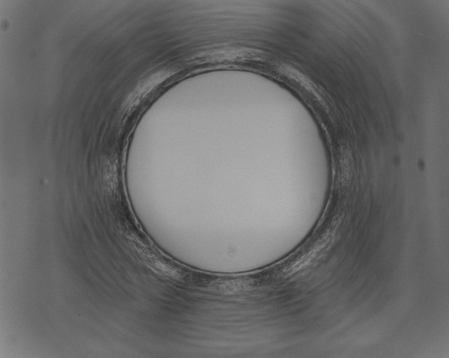 X0000073480778200608211624