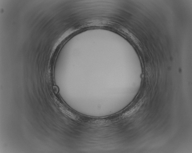 X0000073480779200608211624