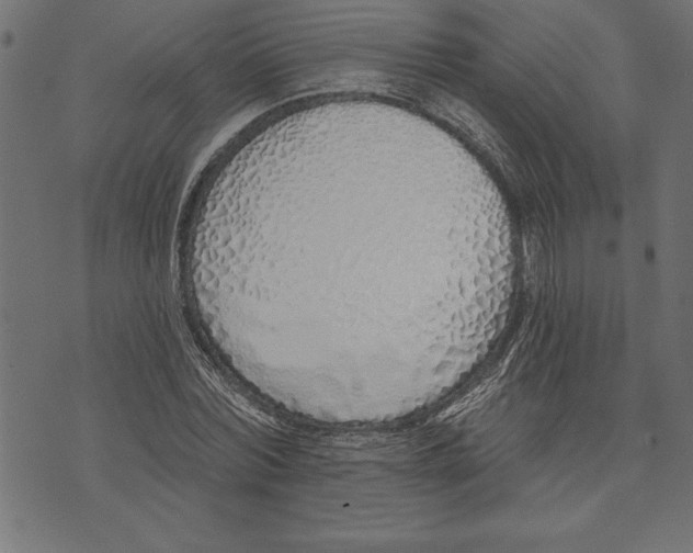 X0000073480780200608211624