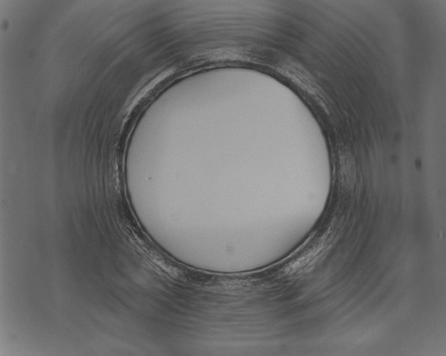 X0000073480782200608211624