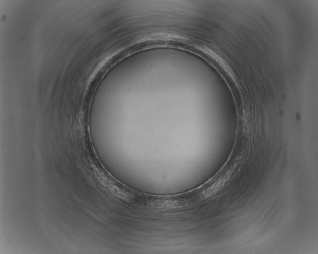 X0000073480783200608211624