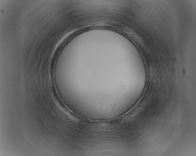 X0000073480784200608211624