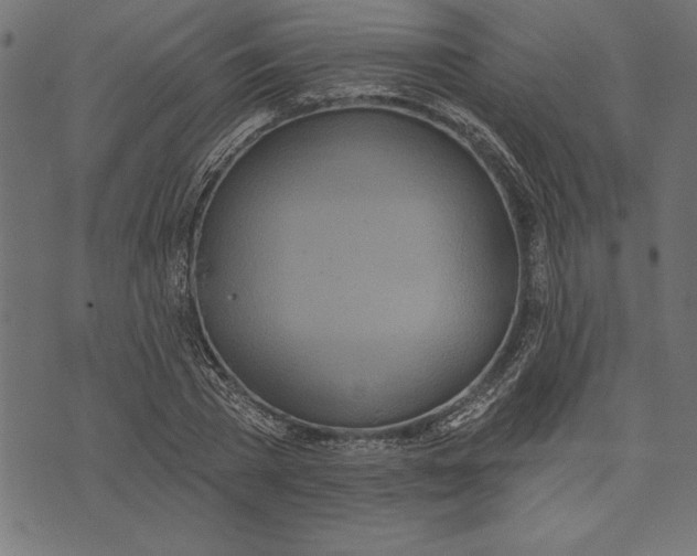 X0000073480785200608211624