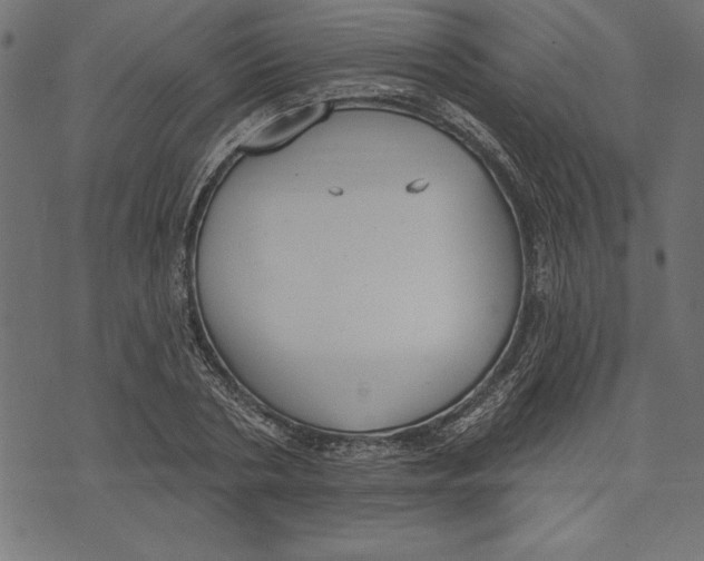 X0000073480786200608211624