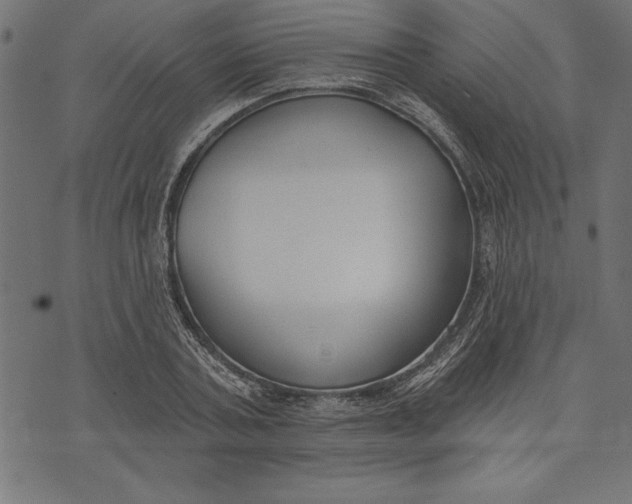 X0000073480787200608211624