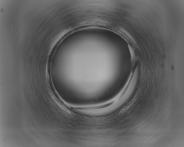 X0000073480788200608211624