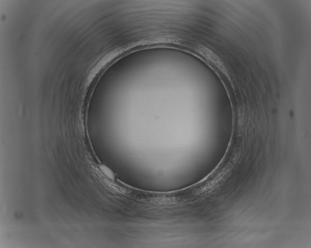 X0000073480789200608211624