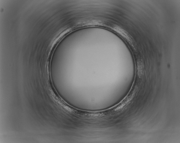 X0000073480790200608211624