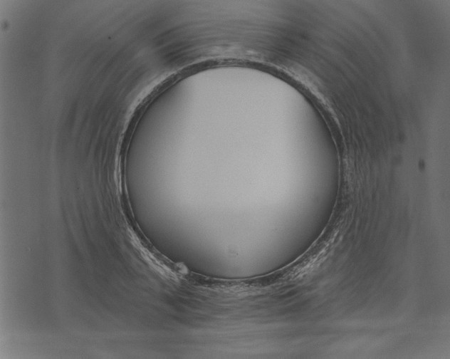 X0000073480791200608211623