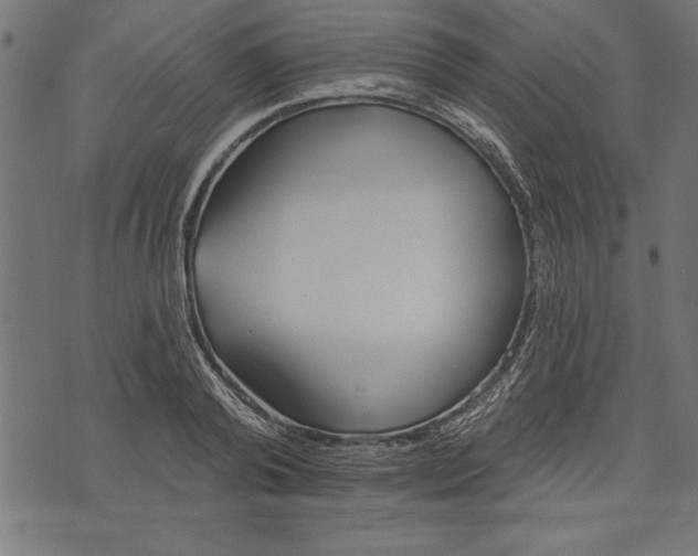 X0000073480792200608211623