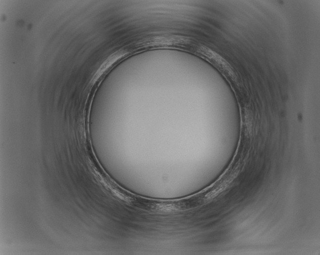 X0000073480794200608211623