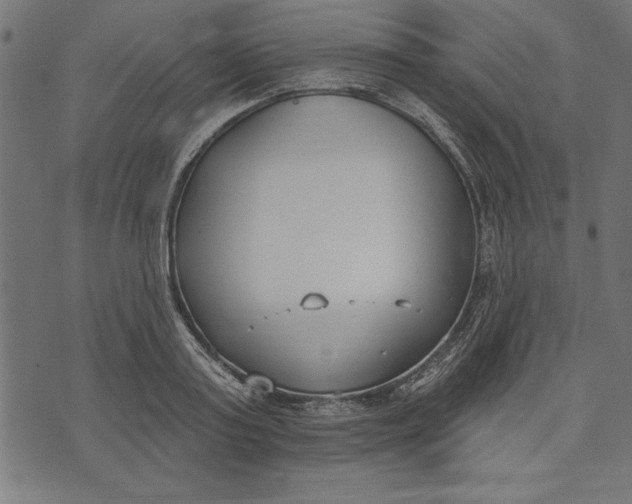 X0000073480795200608211623