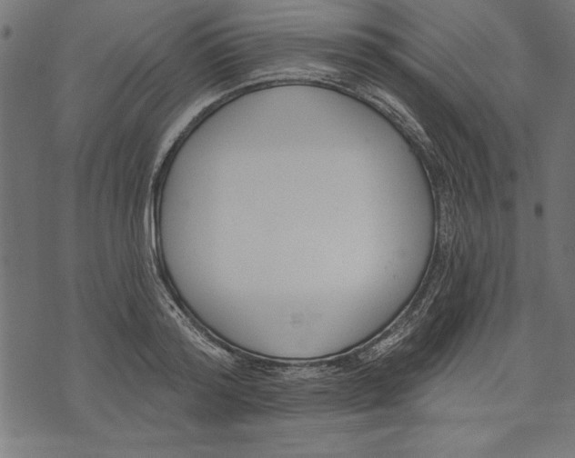 X0000073480796200608211623