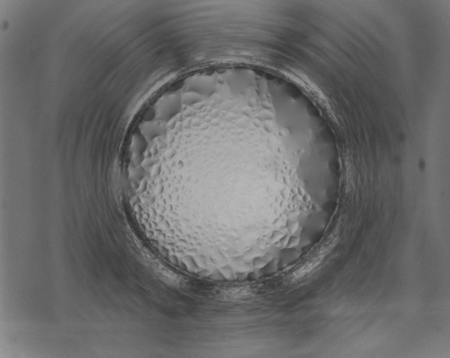 X0000073480798200608211623