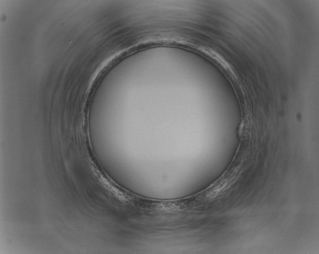 X0000073480799200608211623