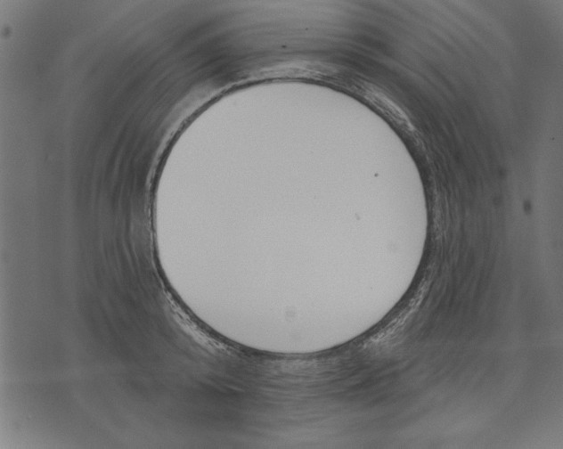 X0000073480800200608211623