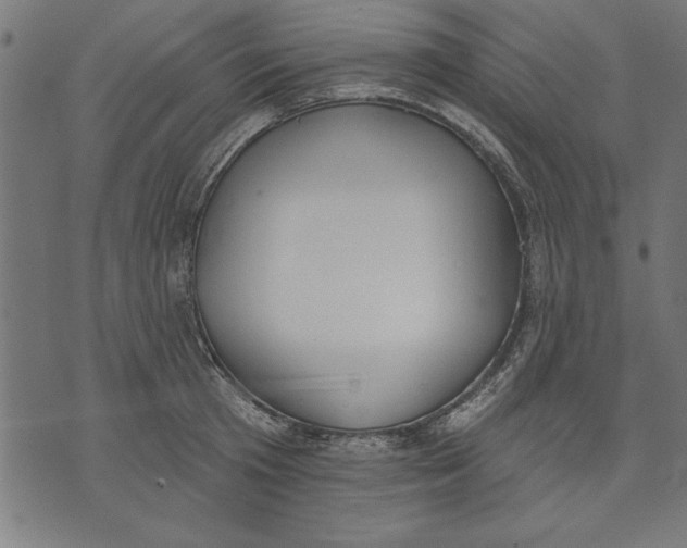 X0000073480801200608211623