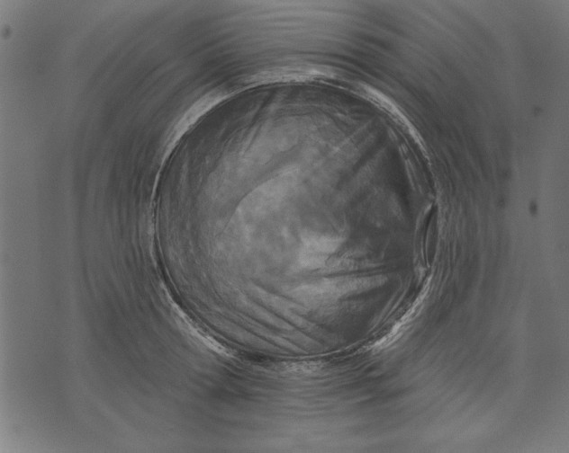 X0000073480802200608211623