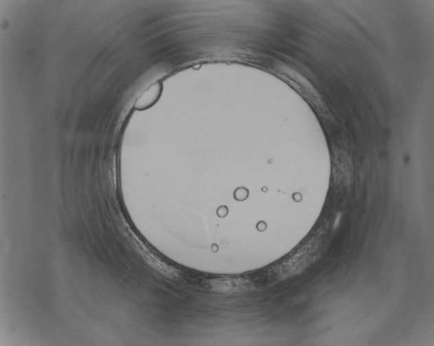 X0000073480804200608211623