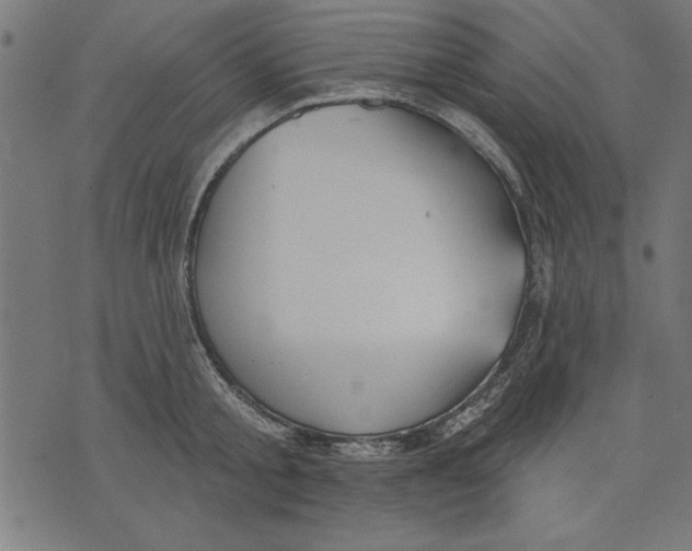 X0000073480805200608211623