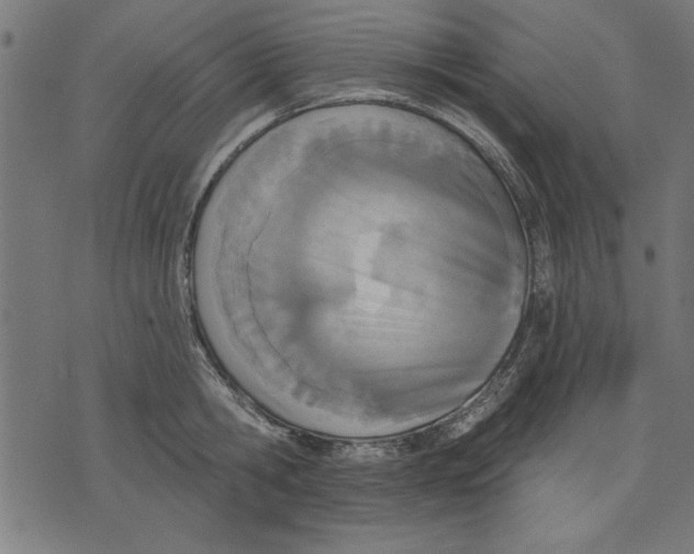 X0000073480806200608211623