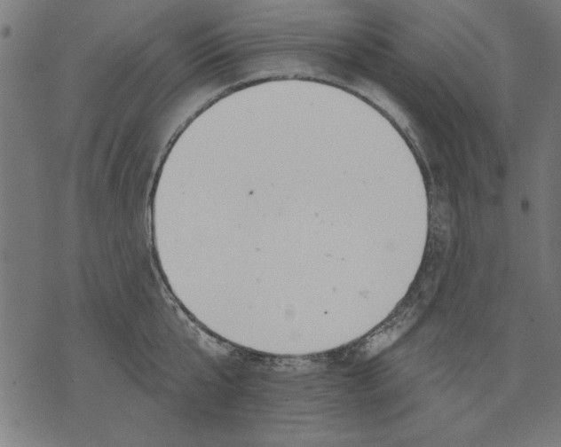 X0000073480807200608211623