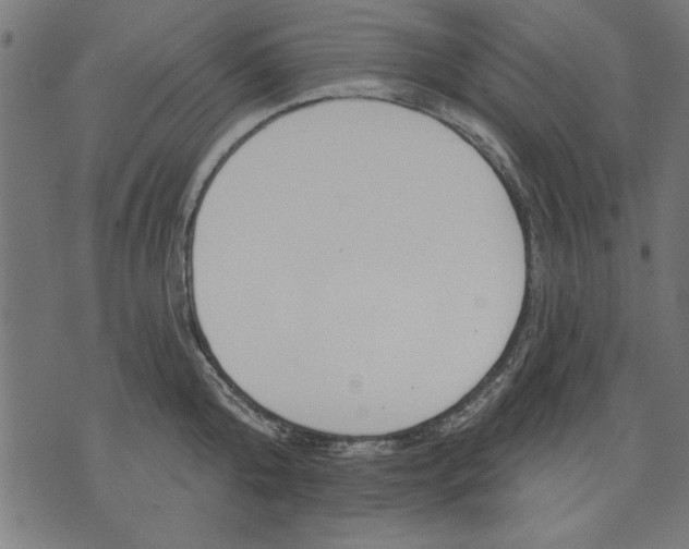 X0000073480808200608211623