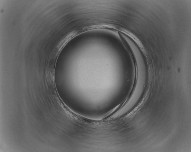 X0000073480809200608211623