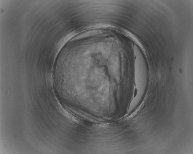 X0000073480810200608211623