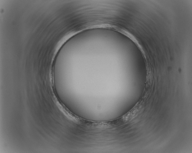 X0000073480811200608211623