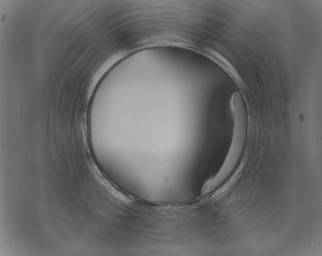 X0000073480812200608211623