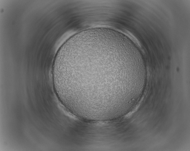 X0000073480814200608211623