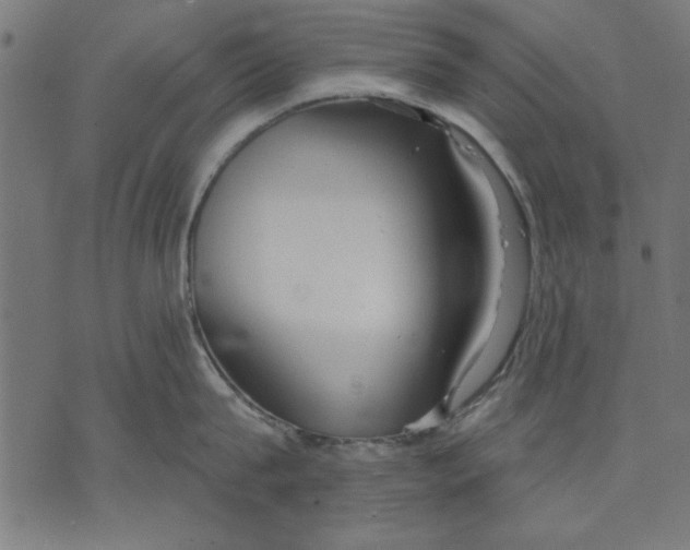 X0000073480815200608211623