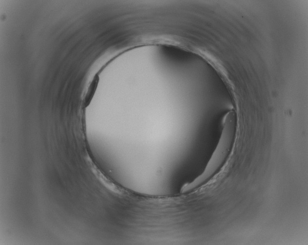 X0000073480816200608211623