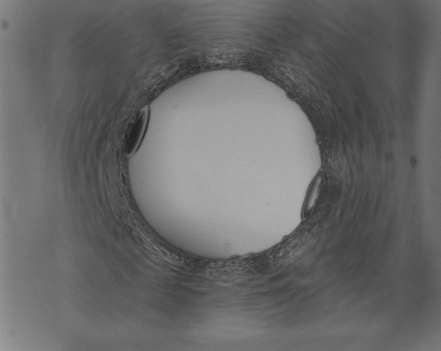 X0000073480817200608211622