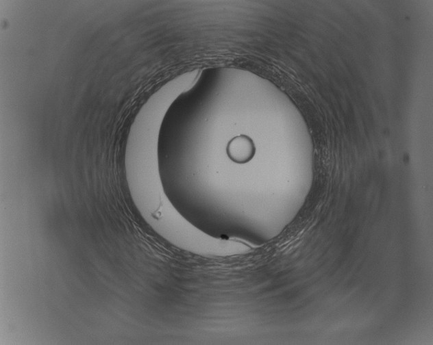 X0000073480818200608211622