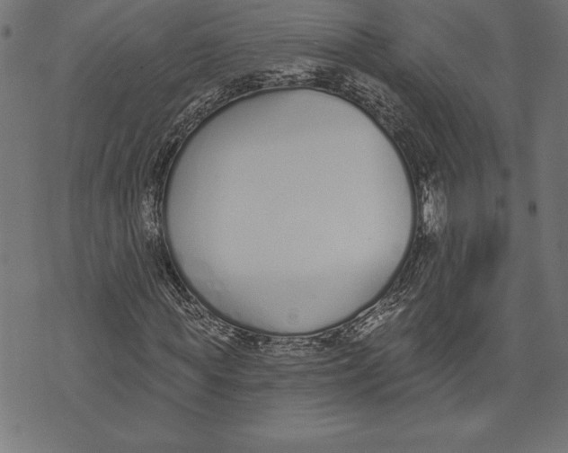 X0000073480819200608211622