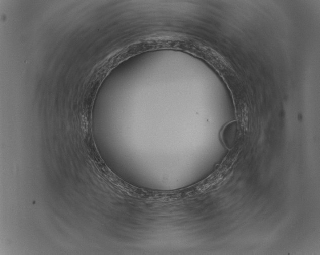 X0000073480821200608211622