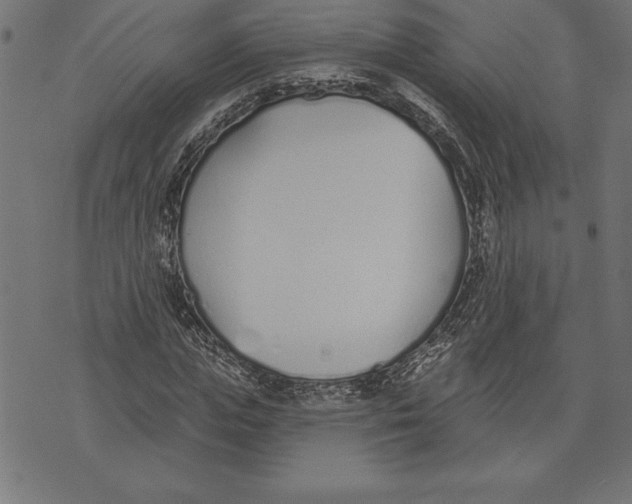 X0000073480823200608211622