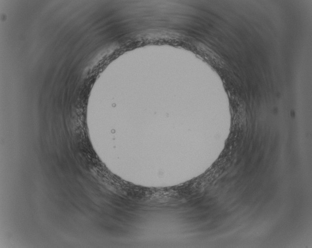 X0000073480824200608211622