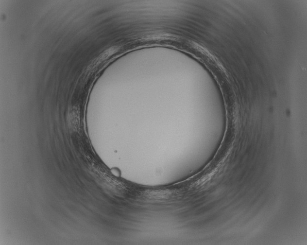 X0000073480825200608211622