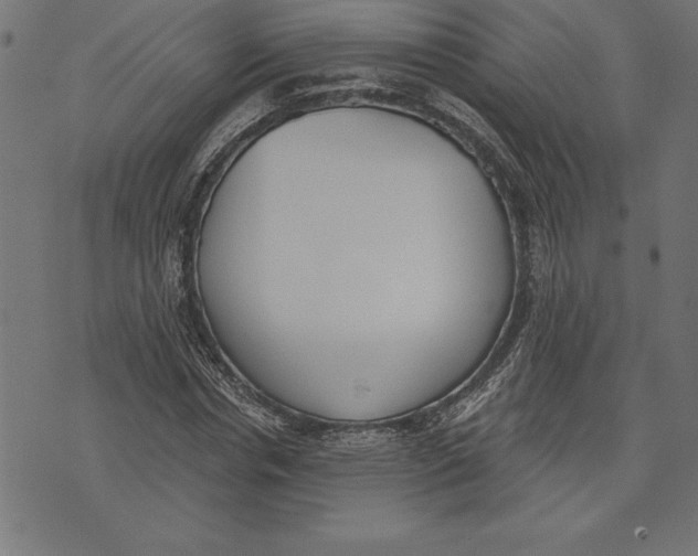 X0000073480826200608211622