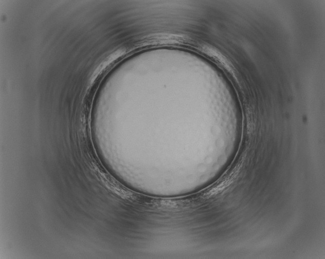 X0000073480827200608211622