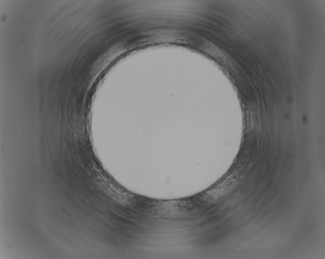 X0000073480828200608211622