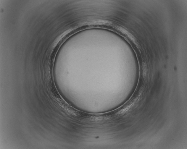 X0000073480829200608211622